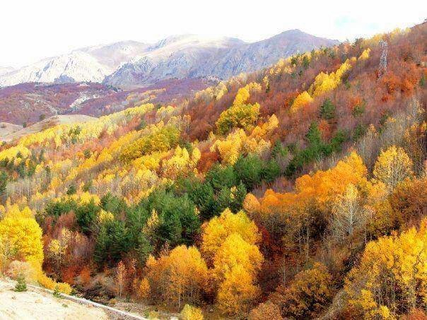 Sivas'ın Suşehri ve Zara ilçeleri arasında bulunan Geminderesi, sonbahar renklerine bürünürken, görsel güzellik oluştu. 